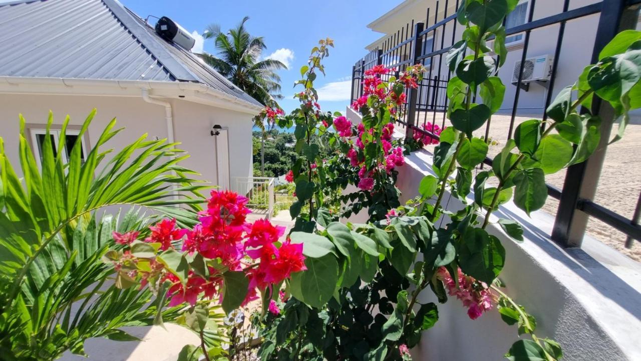 La Trouvaille Aparthotel Anse a La Mouche Exterior photo